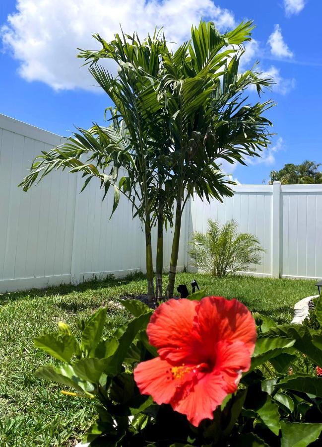 Villa-Haze, Lots Of Privacy, Solar & Electric Heated Pool And Spa Cape Coral Exteriör bild